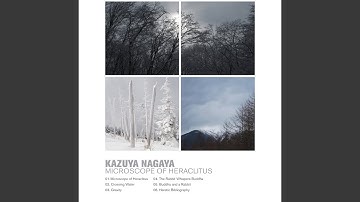 Microscope of Heraclitus (Original)