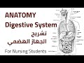 Digestive System Anatomy تشريح الجهاز الهضمي