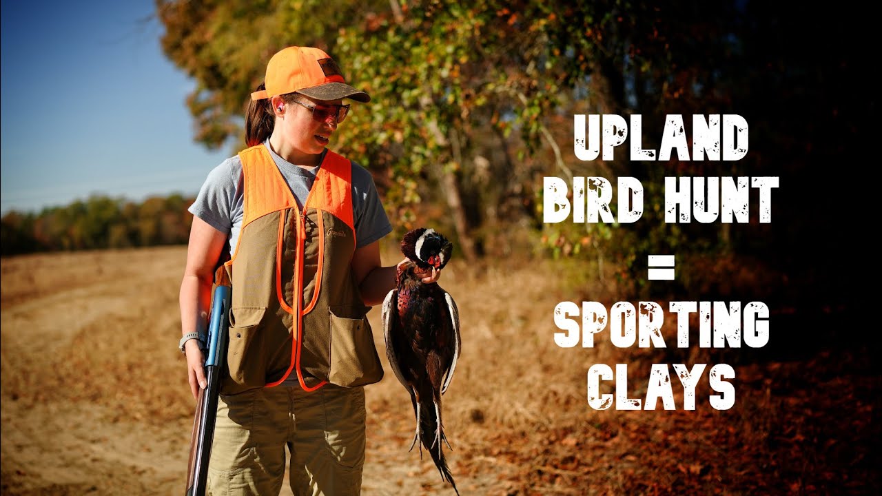 Video & Video Podcasts The Clay Lab