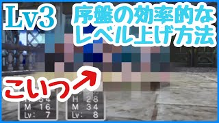 拳Lv3【ドラクエ5実況】レベル上げても勝てない...！？レヌール城、お化け退治を攻略！