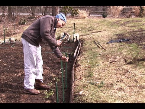 Fencing A Vegetable Garden Youtube