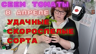 Сеем томаты в апреле Удачные скороспелые сорта