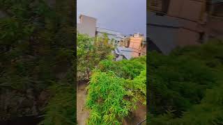 क्यों न बदलू मैं तुम वही हो क्या #100 #ai #thoughts #like #share #ytshorts #song #nature #challenge
