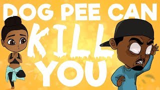 Dog Pee Can Kill You