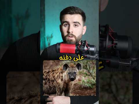 مستحيل تصدق ليش ممنوع دفن الضبع الا بحضور الشرطة