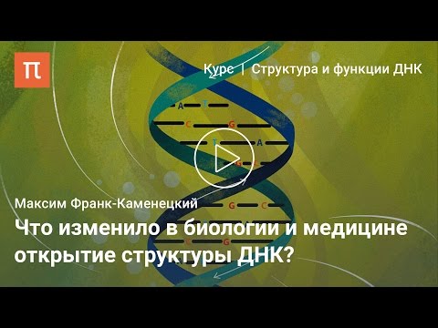 Открытие структуры ДНК — Максим Франк-Каменецкий