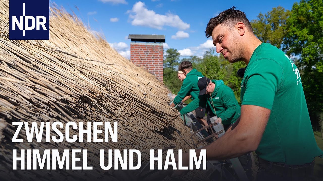 Oldenburger Land: Reetdachdecker der Zukunft | Die Nordreportage | NDR Doku