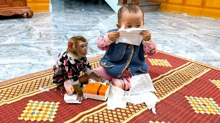 Monkey KaKa and the baby Diem playing with the scroll look so cute