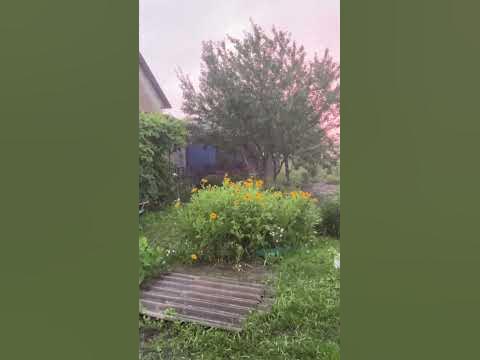 Слив дождя с крыши Пушилиной выведен на участок соседей - YouTube
