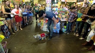 Criss Angel BeLIEve: Do Your Stuffed Animals Come Alive?! (On Spike) screenshot 2