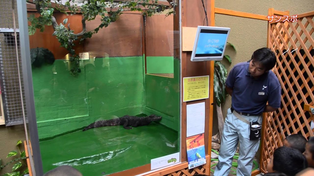 maxresdefault.jpg?sqp=-