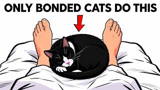 5 Signs Your Cat Considers You Their Mother