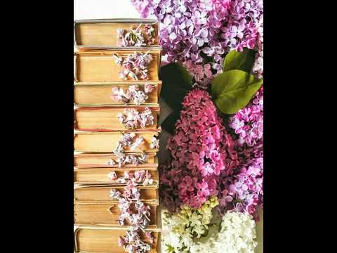 بماذا لقب النبي محمد صلى الله عليه وسلم قبل الدعوة