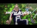 Birds Of A Feather Billie Eilish Edit Audio Birds Of A Feather Billie Eilish Edit Audio