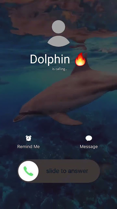 Dolphin ❤️ call me #ringtone #sadringtone #bgmringtone #smartphone #ringtones #angela #love #answer