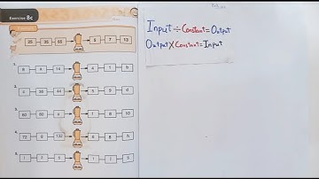 SOLVED! Exercise8c, Page24, Book4, Lantern quantitative reasoning