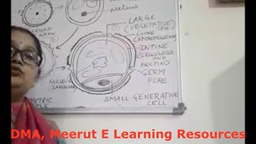 Sexual Rep.in Flowering Plants(Part III)|Bio. XII|Ms. Poonam Attrish|DMA Meerut E Learning Resources