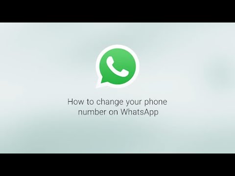 Video: Bruger et WhatsApp-opkald data?