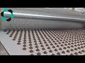Continuous Chocolate Drops Depositor