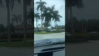Exploring McFarlane Road Urban Infrastructure And Peacock Park #miami #coconutgrove #florida #usa
