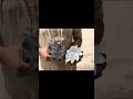 Impossible Flower Pinion Repair Done by Master Mechanic | Must Watch!
