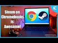 Steam Games on Chromebooks is AWESOME Now