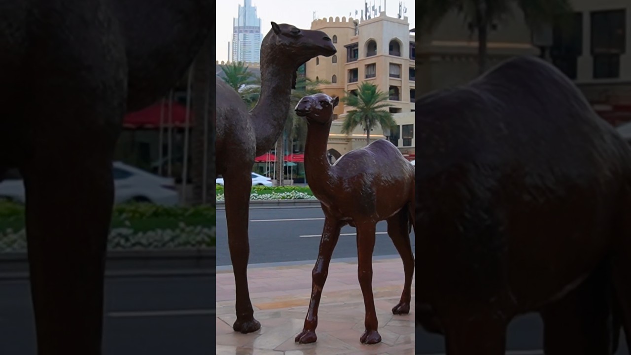 Camel sculpture in Downtown Dubai 