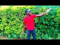 SPARROW MDOGO SAWA FT BANTO TZ AI VIDEO VISUALIZER 