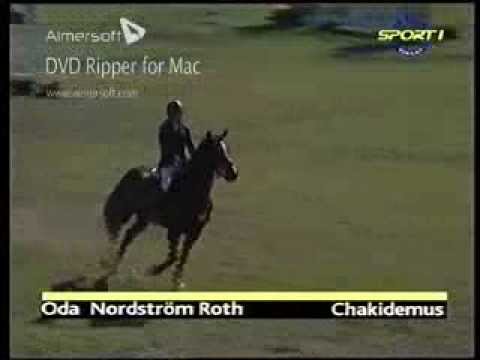 Download Baltic Cup Holmenkollen 2004 Viasat Sport 1 Youtube Desktop Wallpaper Wallpaper Baltic Cup Holmenkollen 2004 Viasat Sport 1 Youtube Desktop Wallpaper