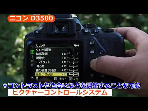 Nikon D3500 良品デジタル一眼