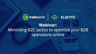 Webinar:  Mimicking B2C tactics to optimize your B2B operations online