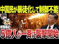 【ゆっくり解説】中国人の暴徒化は規模が違う！億単位の人民が制御不能になり襲いかかってくる