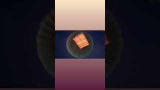 New Premium Creat Opening