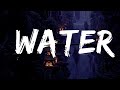 Tyla - Water (Remix) ft. Travis Scott  | Best Songs Lyrics