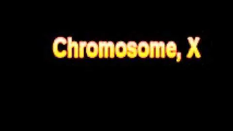 What Is The Definition Of Chromosome, X - Medical Dictionary Free Online