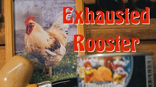 Cd Exhausted Rooster