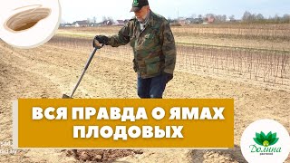 картинка: 🧐ДЕНДРОЛОГ РАССКАЗАЛ ПРАВДУ О ЯМАХ!! 👉Для плодовых деревьев и кустарников🍐