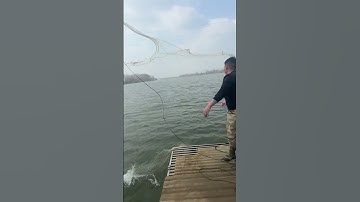 best way to set up  fishing line #fishing #fishcurry #catch