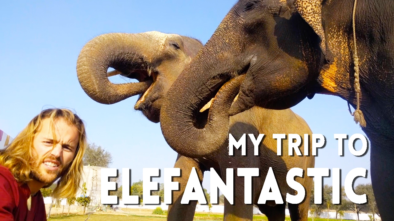 elefantastic travel indie