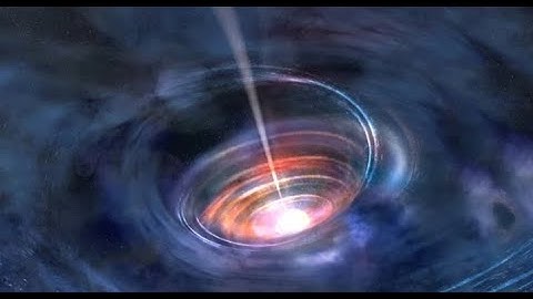 X ray Echoes Map a Black Hole’s Disk