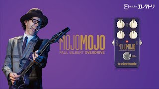 【日本語字幕】tc electronic MOJOMOJO PAUL GILBERT EDITION ~ Paul Gilbertシグネチャーオーバードライブペダル ~