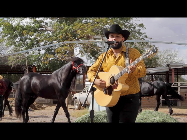 Carin Leon - Mi Caballo Pobre