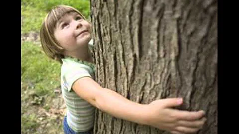 conciencia ambiental    gema annabelle arteaga cob...