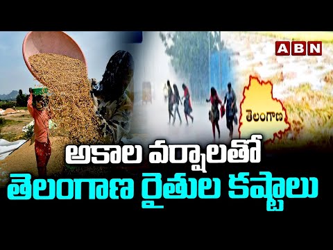 అకాల వర్షాలతో తెలంగాణ రైతుల కష్టాలు | Untimely Rains Continue in Telangana | ABN Telugu - ABNTELUGUTV