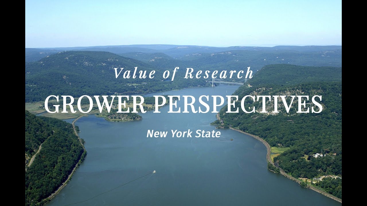 new york state research foundation