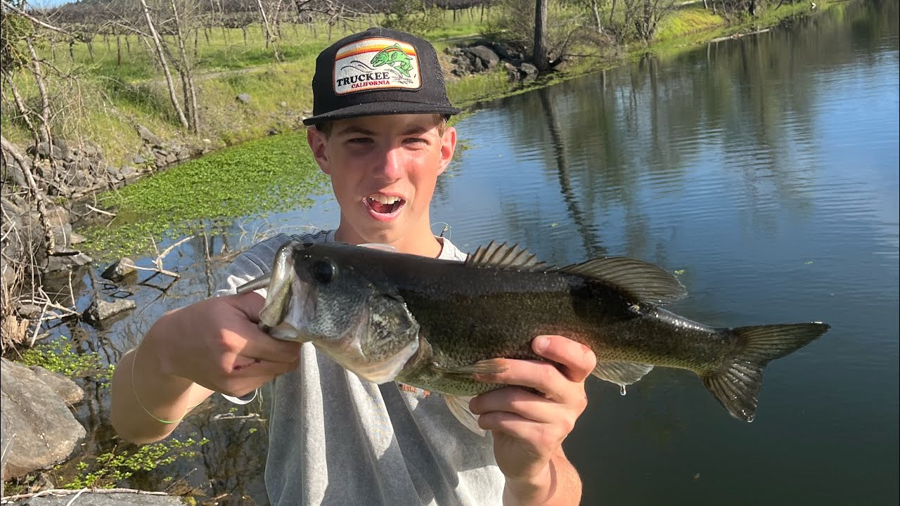 Bass fishing at best bass pond #fishing #fishhooks #bass #bassfishing