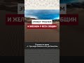 Этикет требуем и желаем у всех общин | Марсэль абу Али #ислам #коран #сунна #нрав #вера #намаз #пост