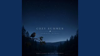 Cozy Summer Forest Night