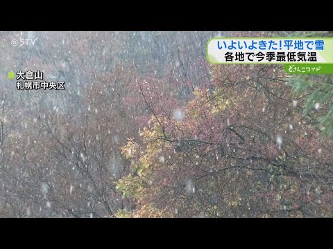 雪降る日 しんしんと降る雪 | 小さな風景