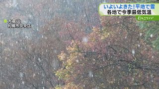 雪降る日 EQFobGGVUAMetef.jpg